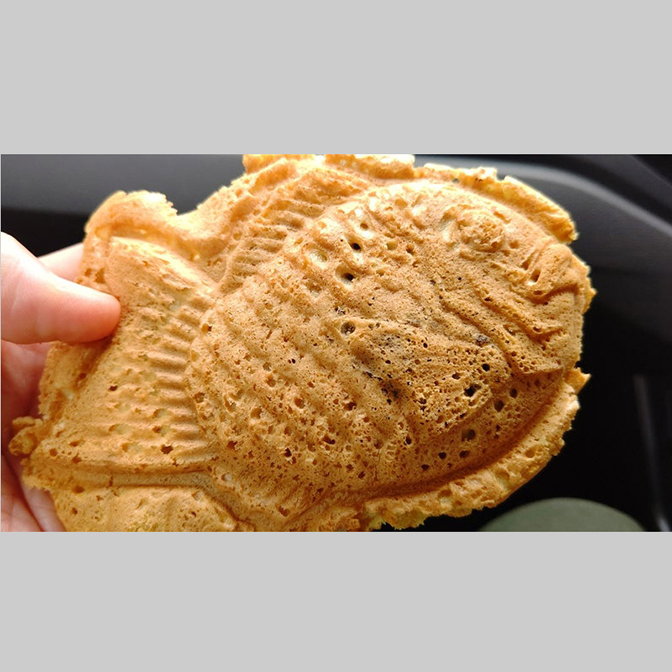 焼きたてのたいやき